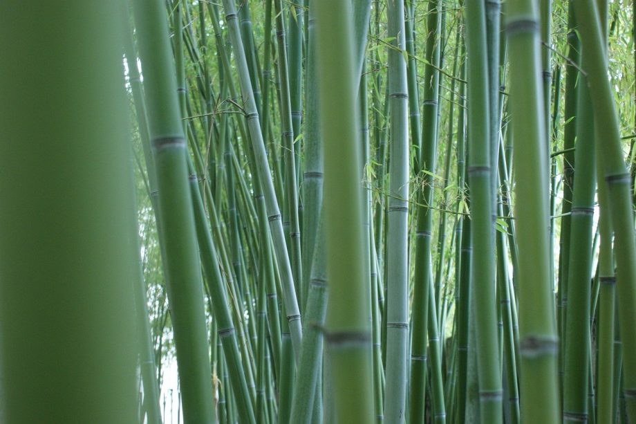 Bambou artificiel